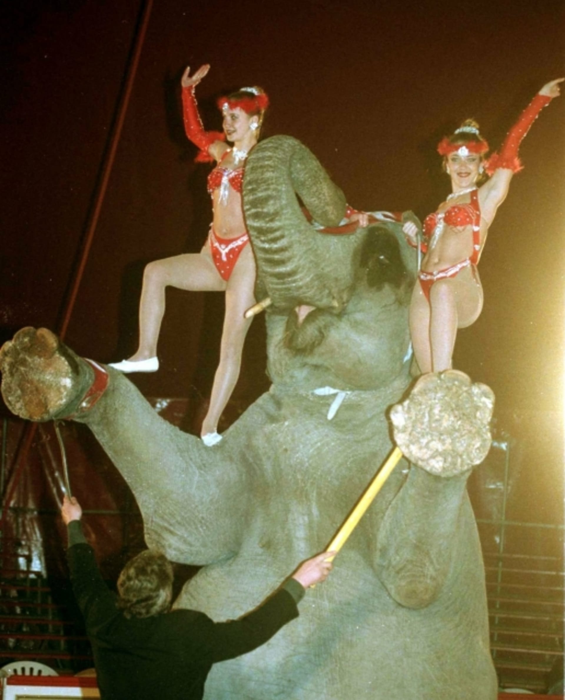 V přibližně devadesátiminutovém programu se objevili kromě akrobatických vystoupení také šelmy, sloni či holuby.
