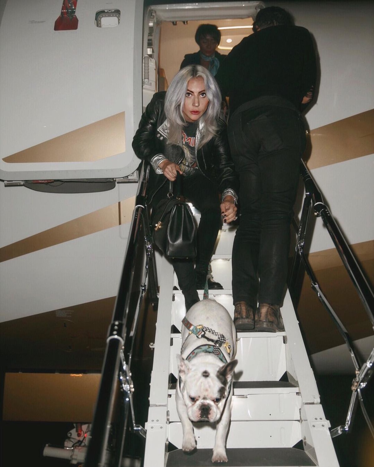 Lady Gaga s jedním ze svých čtyřnohých miláčků vystupuje z letadla.