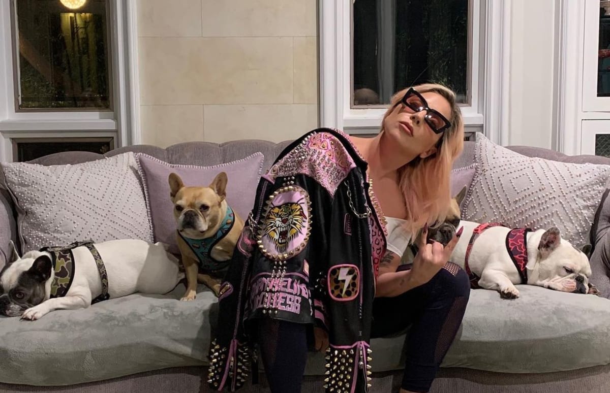 Jako správná páníčka Lady Gaga své psy bezmezně miluje.
