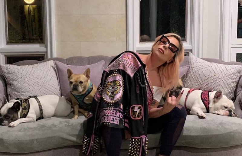 Jako správná páníčka Lady Gaga své psy bezmezně miluje.