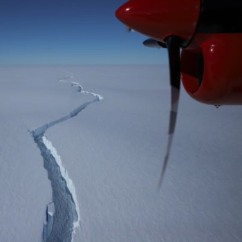 Kra má podle údajů britské antarktické operace British Antarctic Survey rozlohu 1 270 metrů čtverečních.