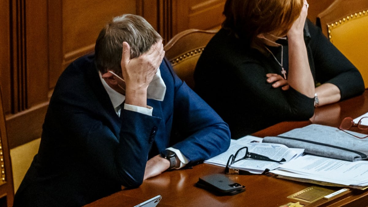 Vláda občas překvapí sama sebe. Na fotografii premiér Andrej Babiš (ANO) a šéfka státní kasy Alena Schillerová (za ANO) ve Sněmovně.