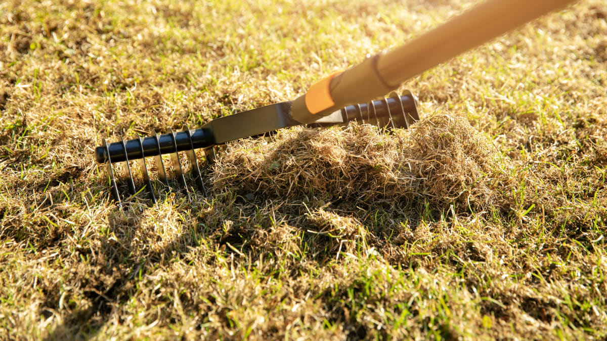 Řez trávníku můžete na malých plochách provést i speciálními hráběmi. 