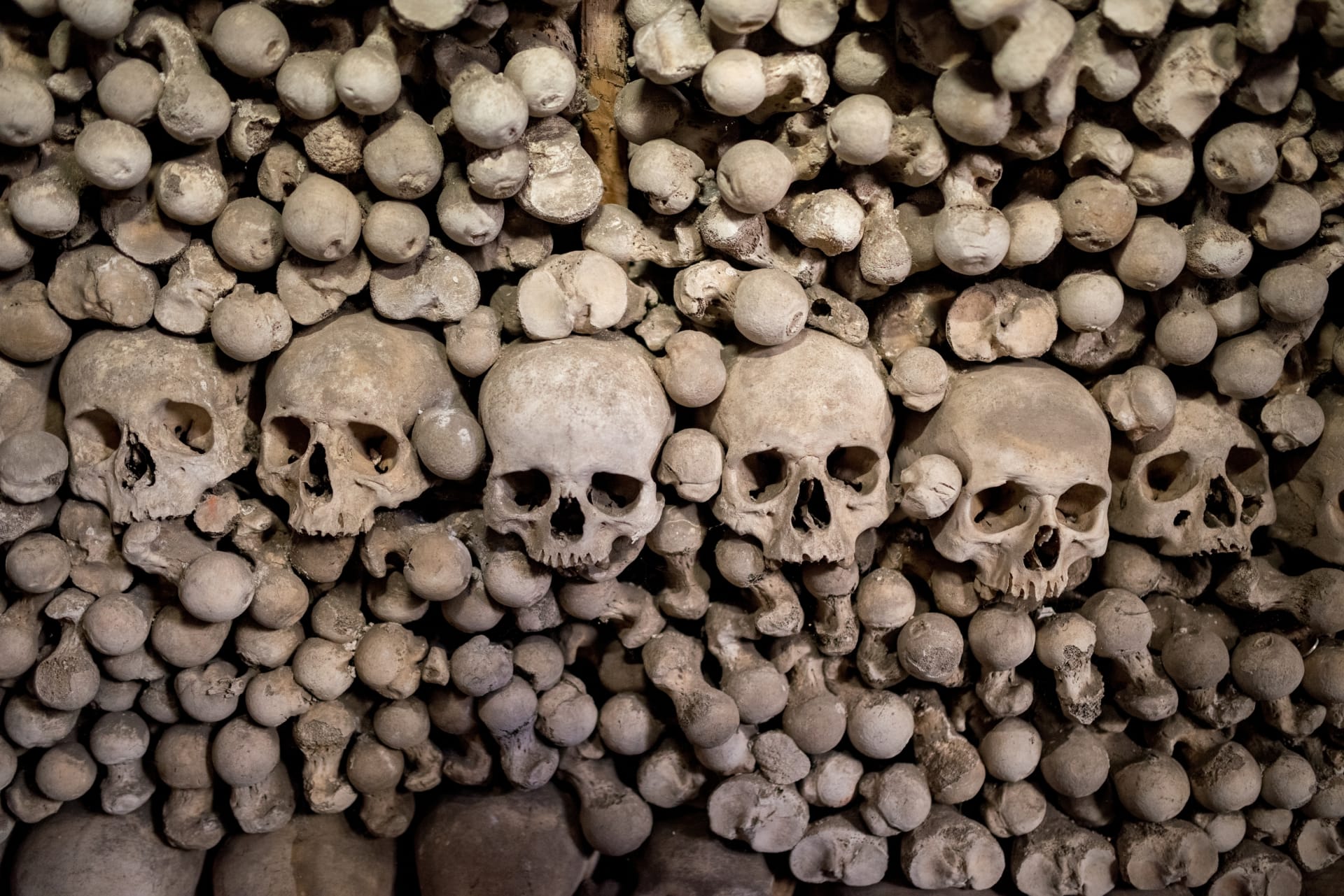 Kosti a lebky v sedleckém kostelu Všech svatých patří z velké části obětem moru.