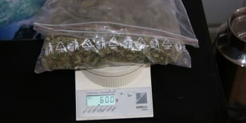 V kufru měl 20 kilogramů marihuany. Čech zadržený v Lyonu skončil před prokuraturou