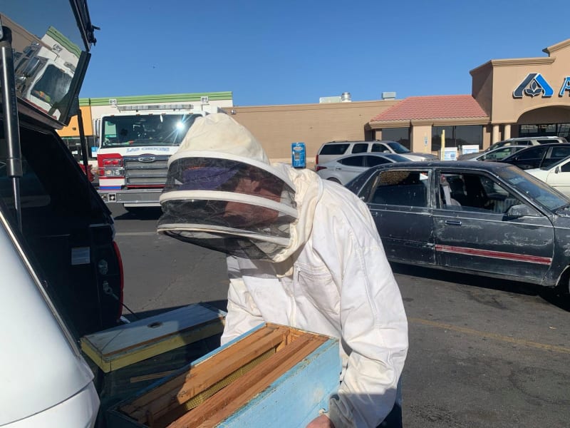 Hasič a příležitostný včelař Jesse Johnson přemístil včely z parkoviště supermarketu na svůj pozemek. 