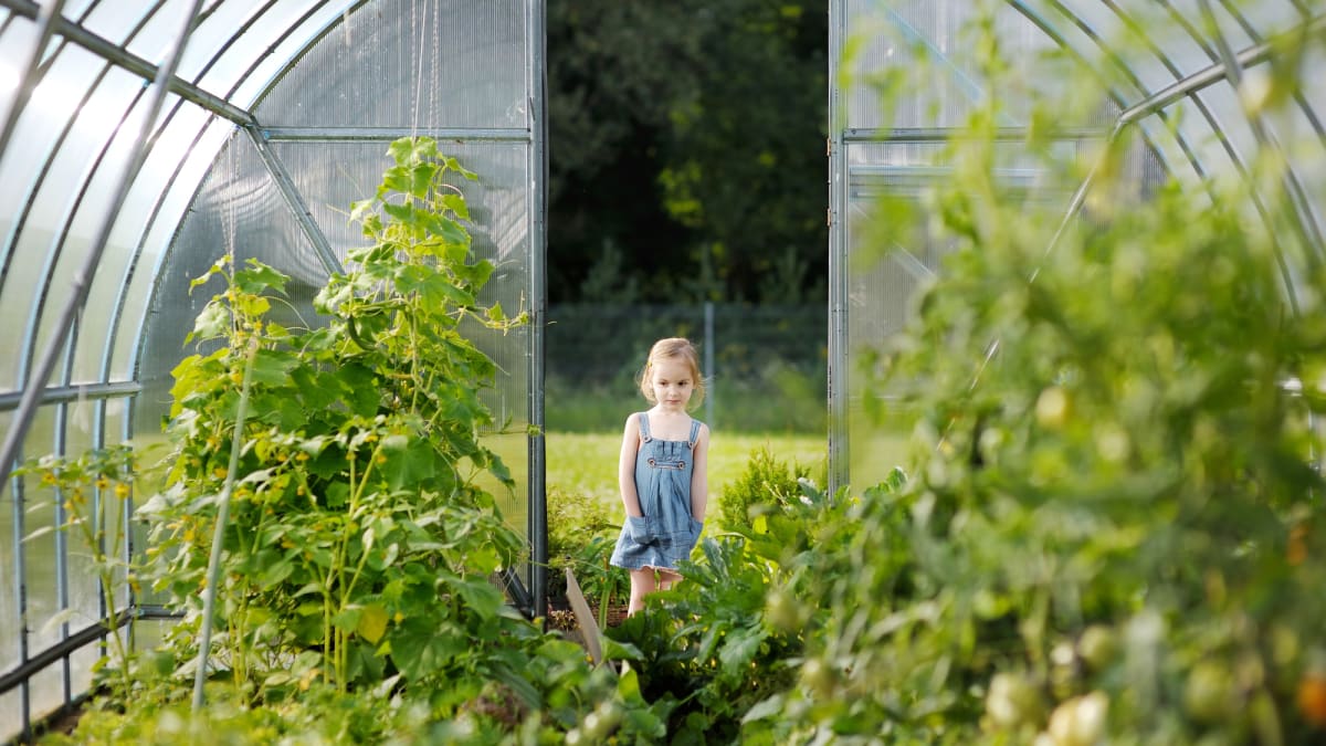Velká úroda nemusí být snem, zdravou a chutnou zeleninu milují i děti