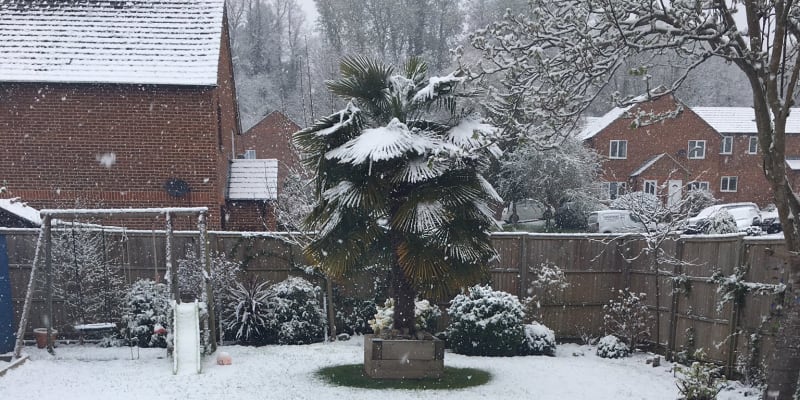 Na některých místech ve Velké Británii stále sněží.
