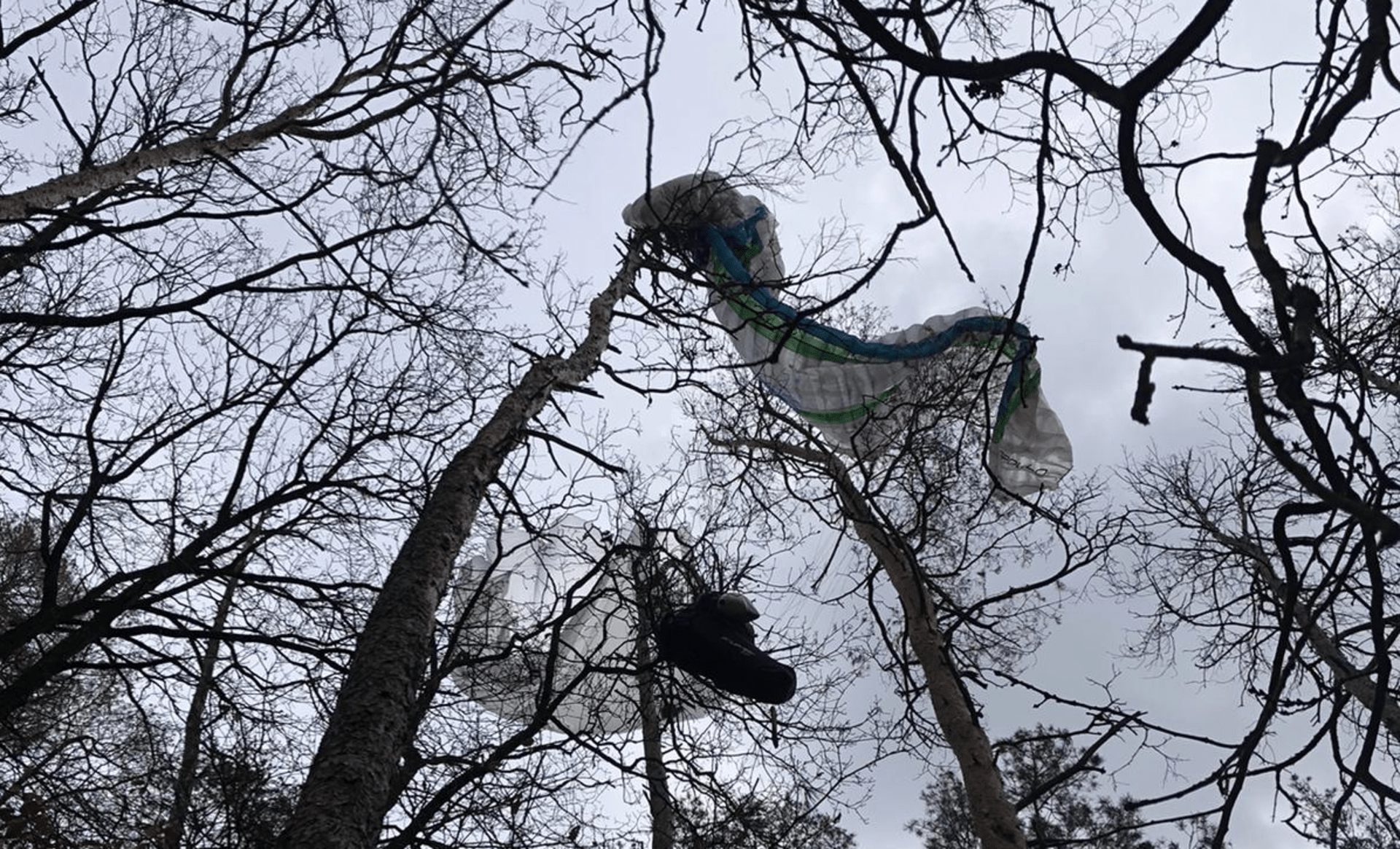 Paraglidista visel na dvanáctimetrovém stromě.