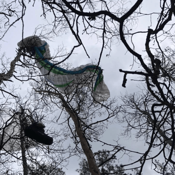 Paraglidista visel na 12 metrovém stromě