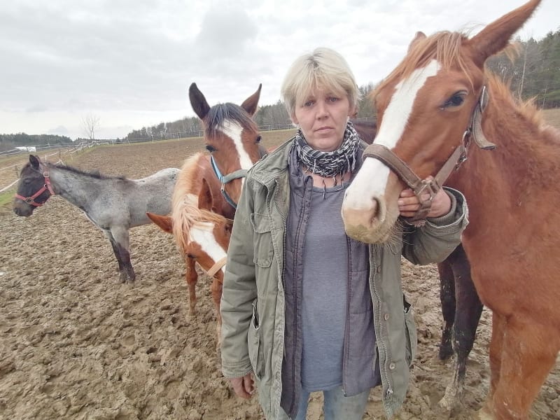 Hřebčín nad muničním areálem. Olga Stehlíková říká, že si není úplně jistá, zda je tady pastva pro koně bezpečná.