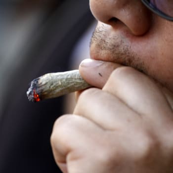 Marihuana je v Česku legální jen na lékařský předpis.