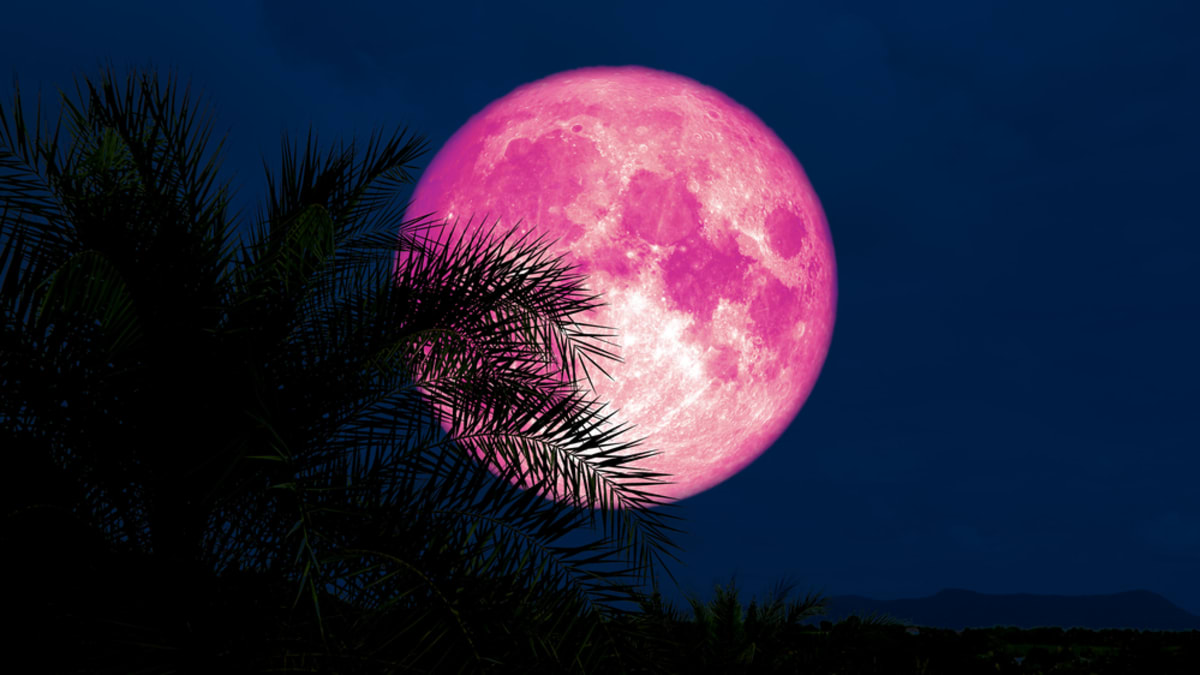 Růžový Měsíc bude možné pozorovat na obloze v pondělí večer, kdy nastane superúplněk.
