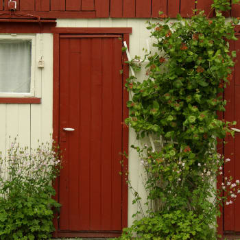 Červeně laděné prvky domu doplňují květiny okolo - lilie a popínavý zimolez. 