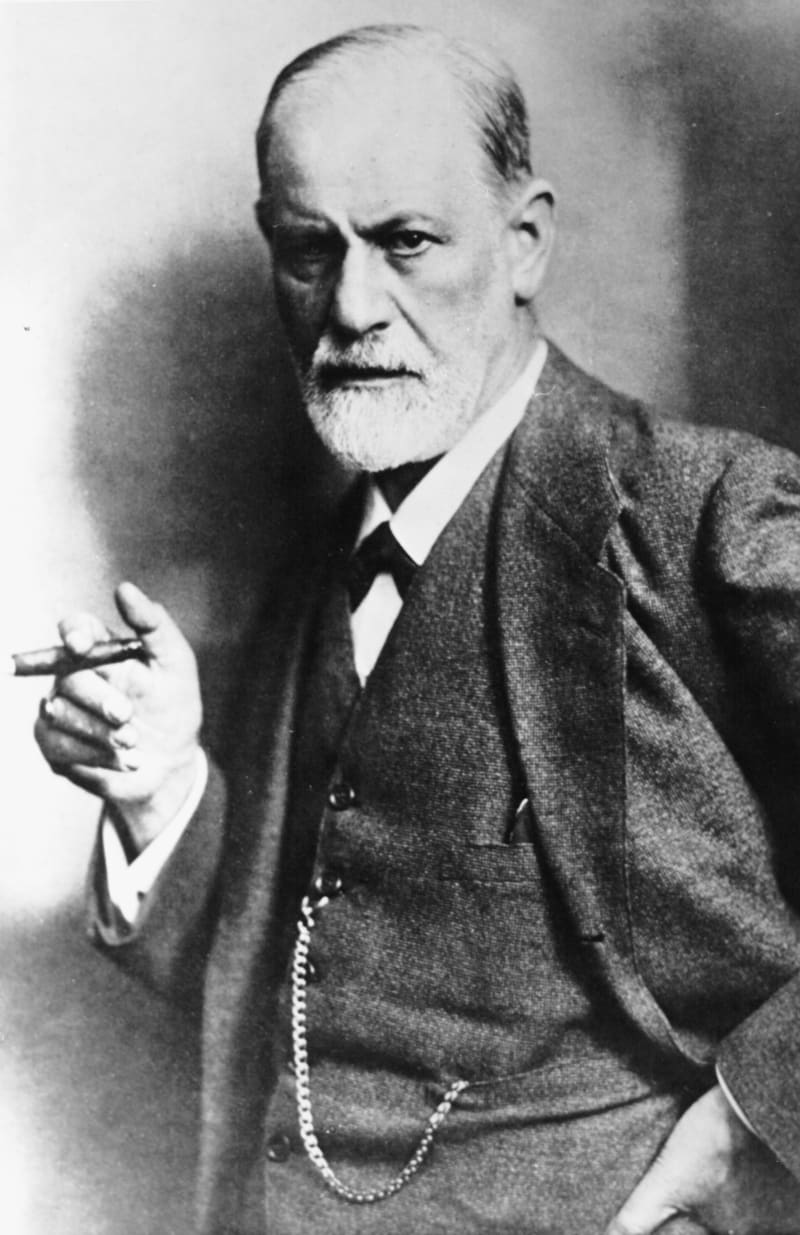Freudův koncept představoval jeden z klíčových objevů 19. a 20. století. 