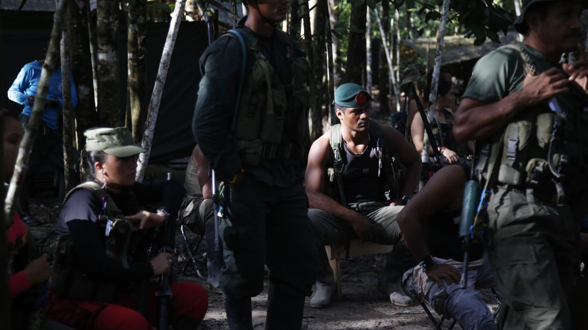 Povstalci z FARC se během dlouhých let střetů s vládní armádou skrývali v kolumbijských džunglích.