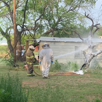 Odstraňování úlu s nebezpečnými včelami (Autor: Breckenridge Fire Department)