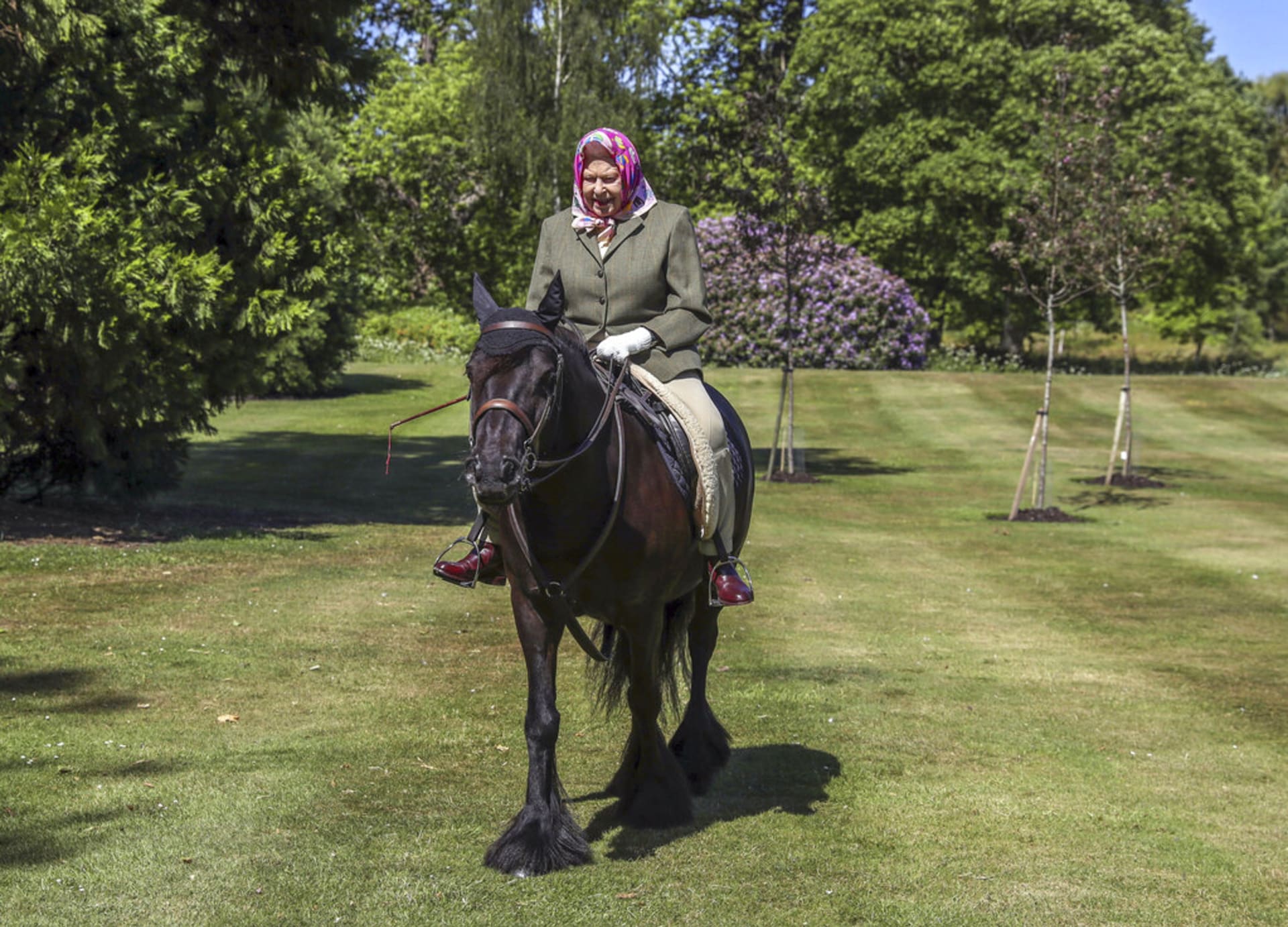 Královna Alžběta II. se na panských pozemcích ráda projíždí na koni.