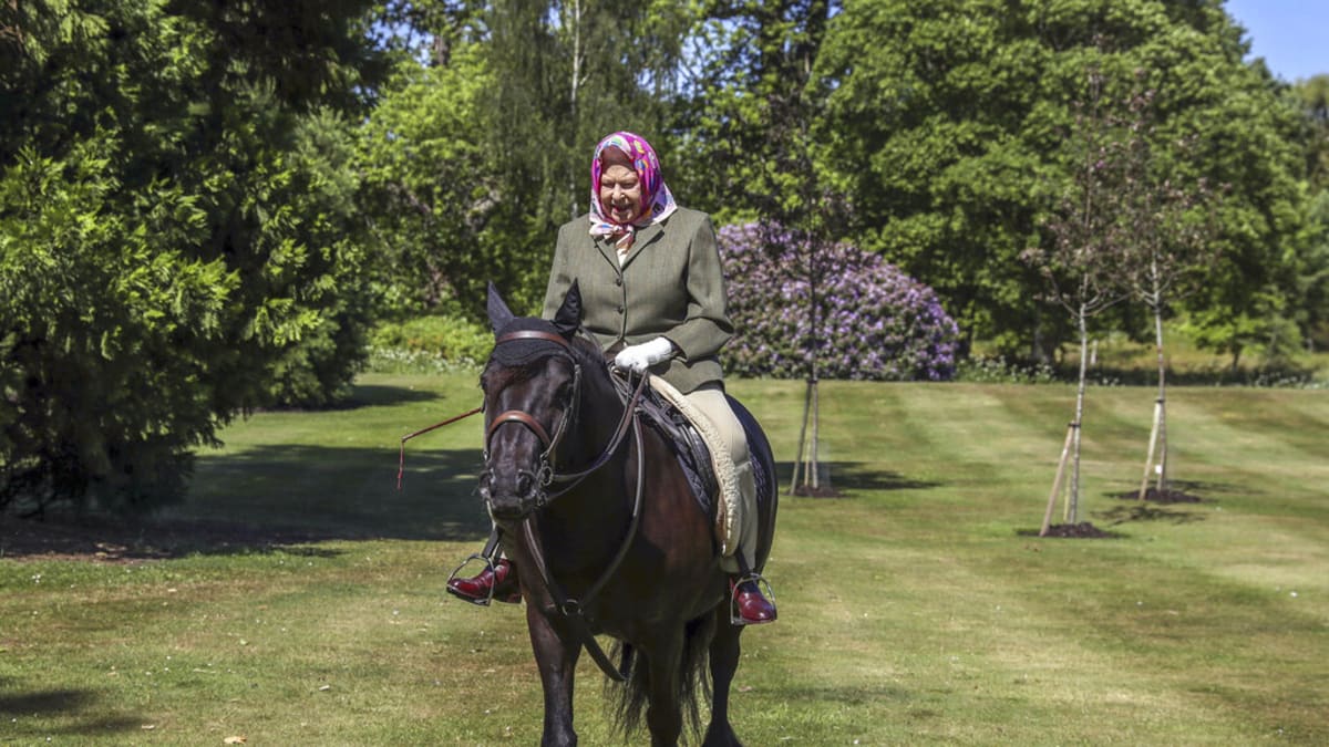 Královna Alžběta II. se na panských pozemcích ve Windsoru ráda projíždí na koni