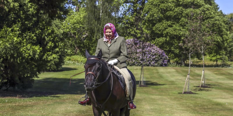 Královna Alžběta II. se na panských pozemcích ráda projíždí na koni.