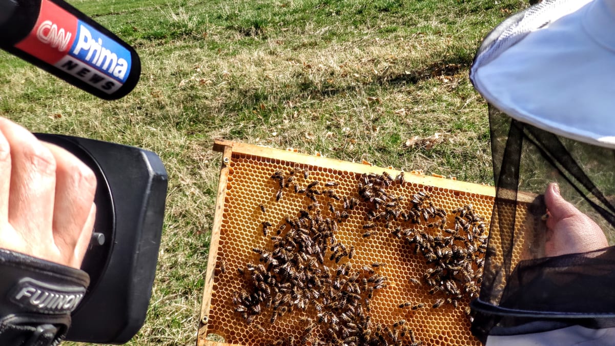 Včelařství se může stát koníčkem pro celou rodinu.