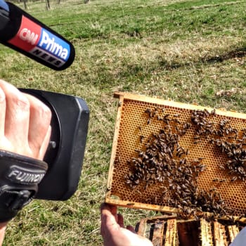 Včelařství se může stát koníčkem pro celou rodinu.