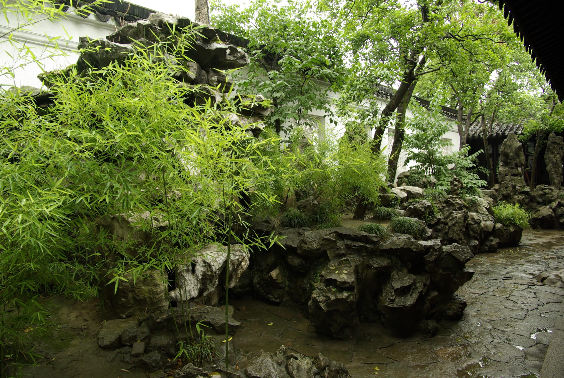 Orientální chrámová zahrada – bambusy se skvěle doplňují s kameny a ostatními dřevinami.