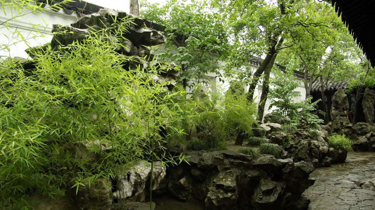 Orientální chrámová zahrada – bambusy se skvěle doplňují s kameny a ostatními dřevinami.