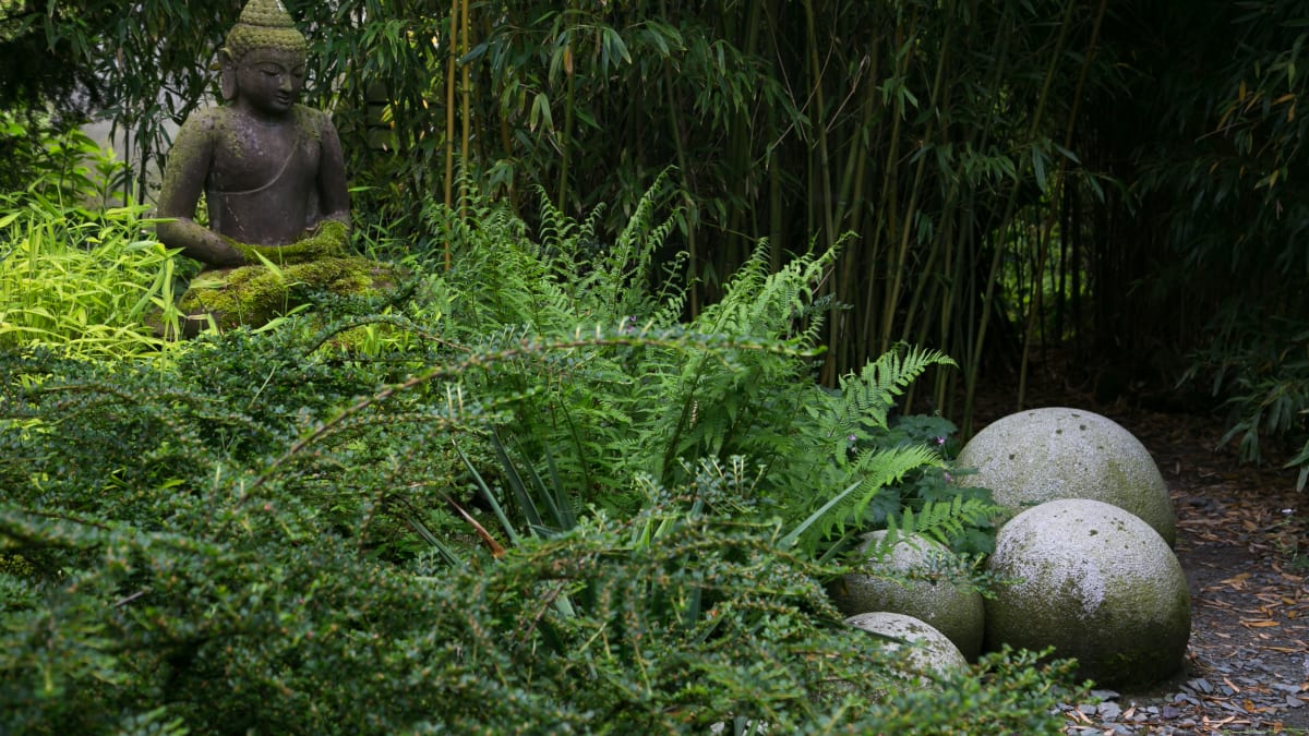 Bambusy vytvářejí dokonalé pozadí orientálních či meditačních zahrad