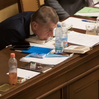 Premiér Andrej Babiš ve Sněmovně na fotografii z roku 2019