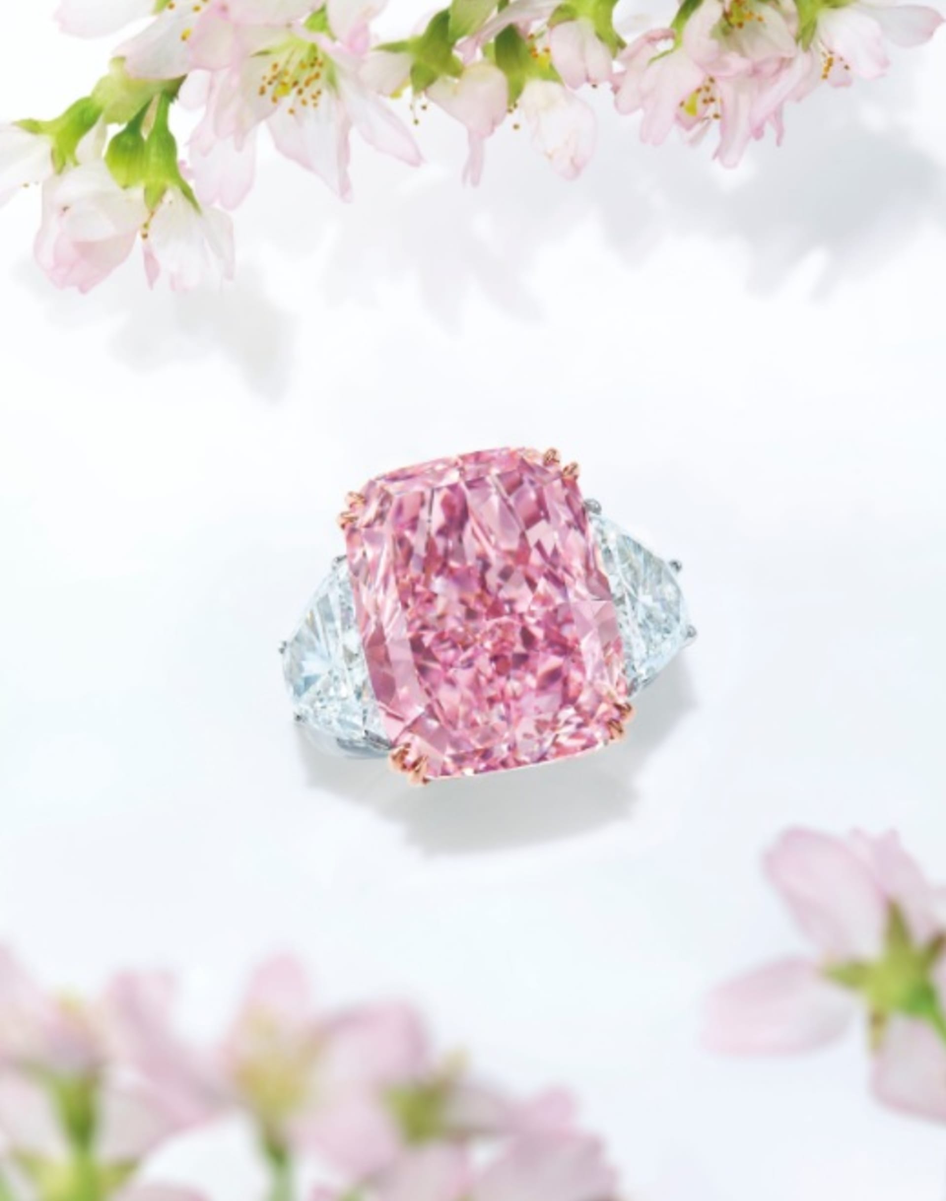 Stane se Sakura nejdražším vydraženým růžovým diamantem v aukci? (autor: aukční síň Christie's)