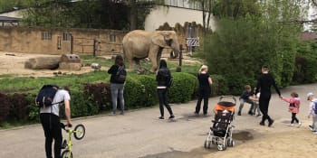 Omezení návštěvnosti v zoologických zahradách bylo nezákonné, rozhodl soud