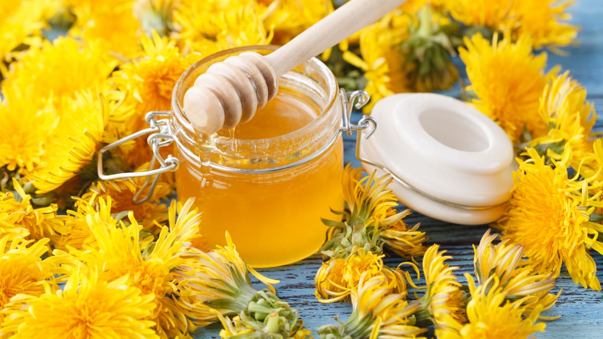 Sirup z pampelišek můžeme použít místo medu do čaje i na pečivo