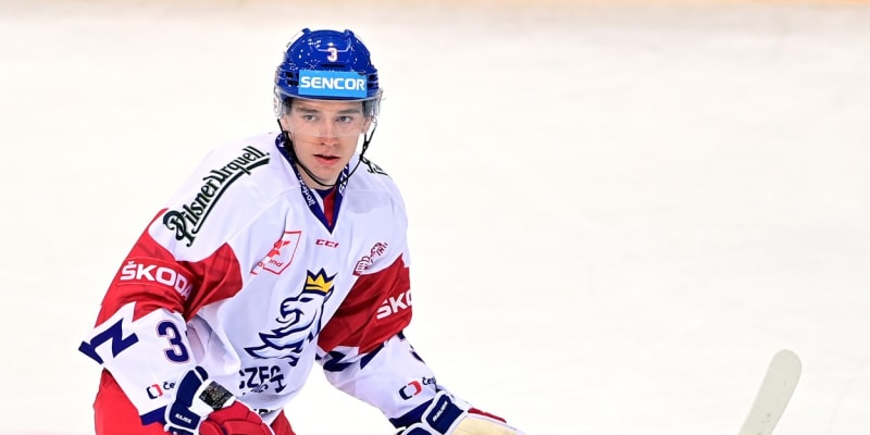 Obránce Libor Hájek hraje v NHL za New York Rangers.