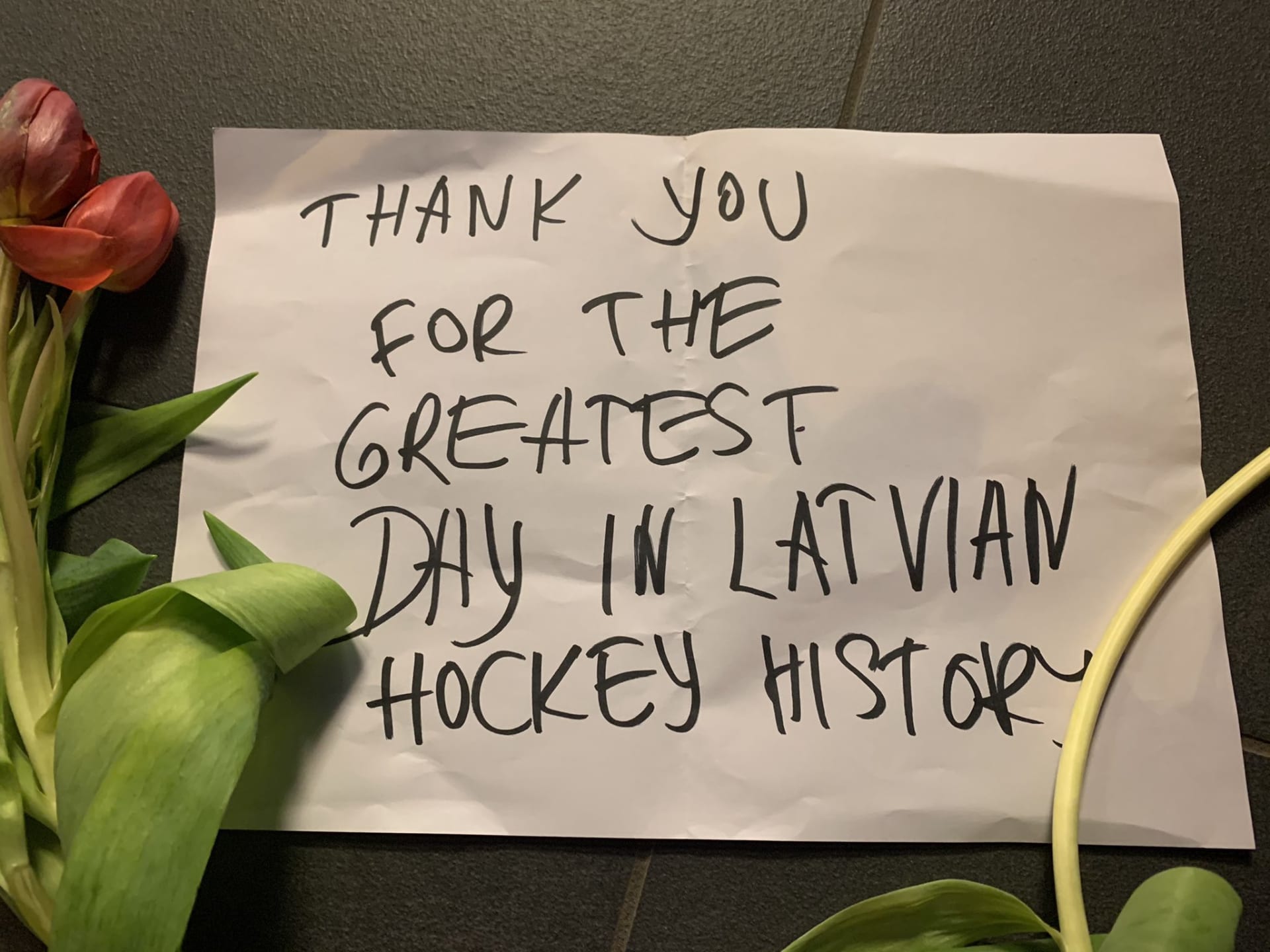 Lotyšští fanoušci oslavují výhru nad Kanadou na hokejovém mistrovství světa. 