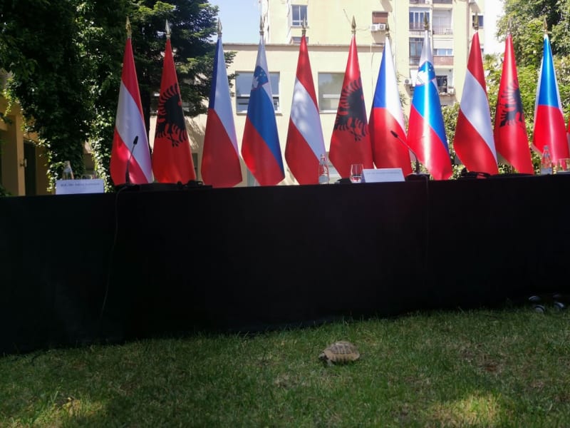 Ministry na tiskové konferenci v Tiraně překvapila želva.