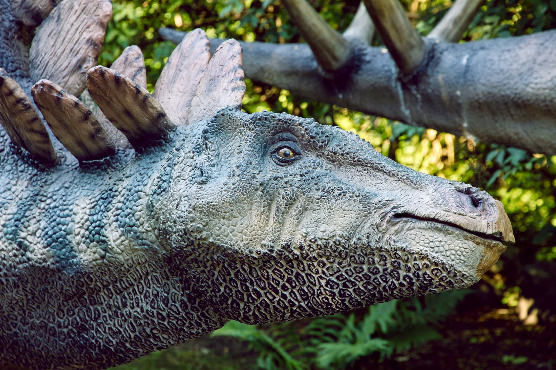 Stegosaurus (Ilustrační snímek)