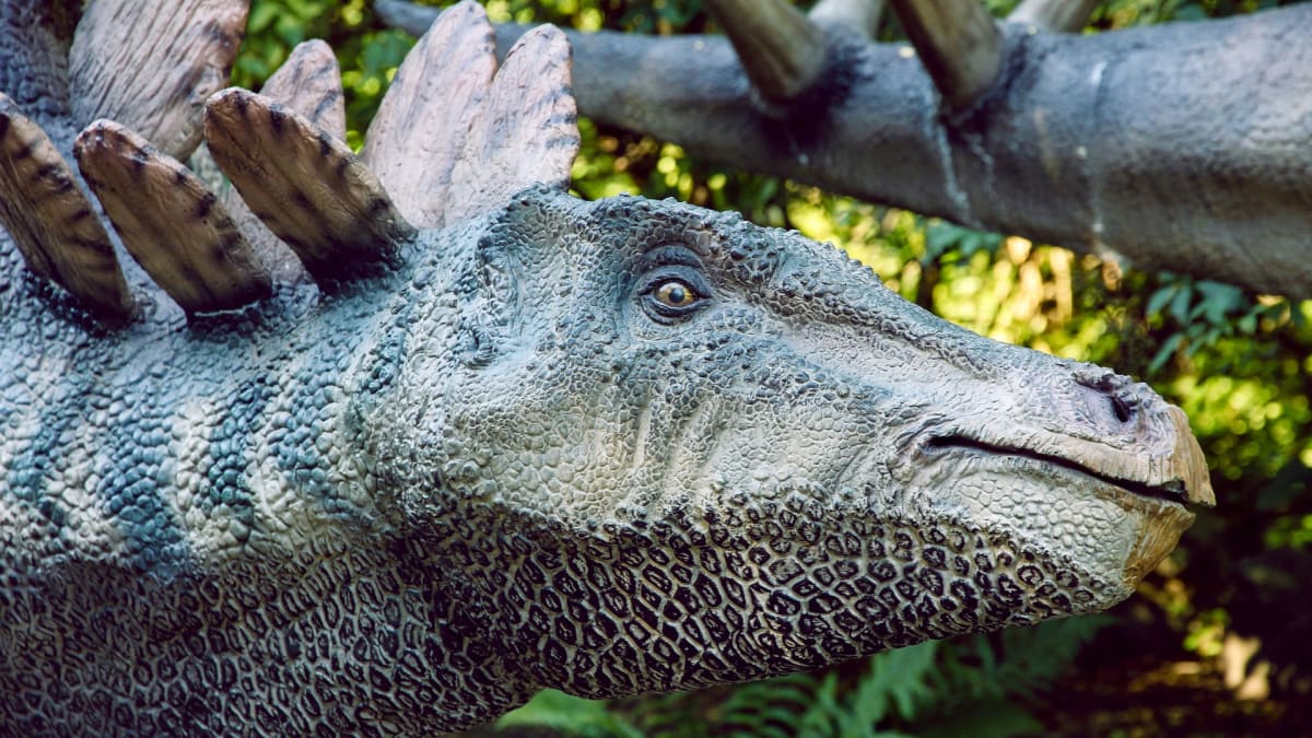 Stegosaurus (Ilustrační snímek)