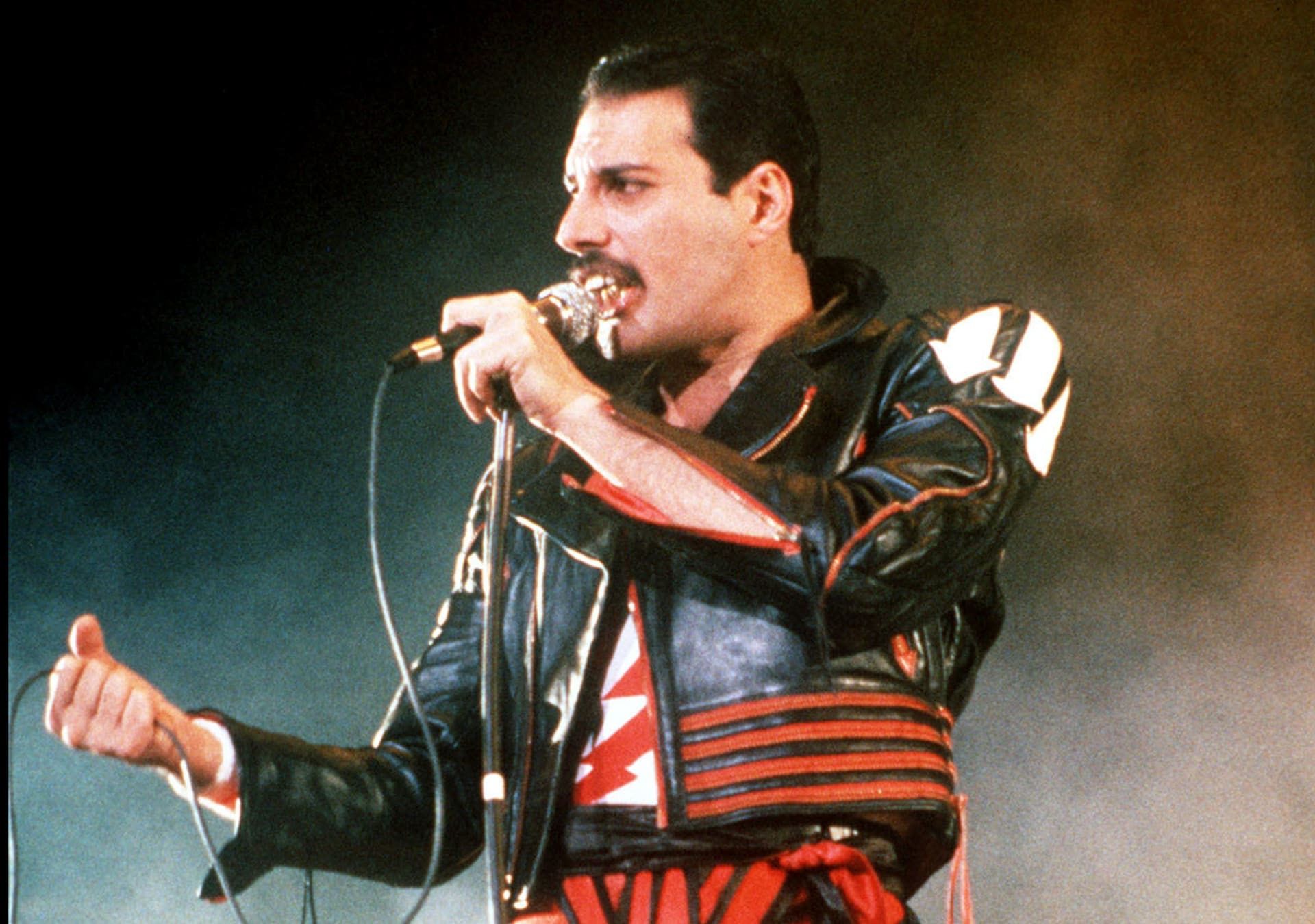 Britský zpěvák a frontman rockové kapely Queen Freddie Mercury je jednou z nejznámějších obětí nemoci AIDS.