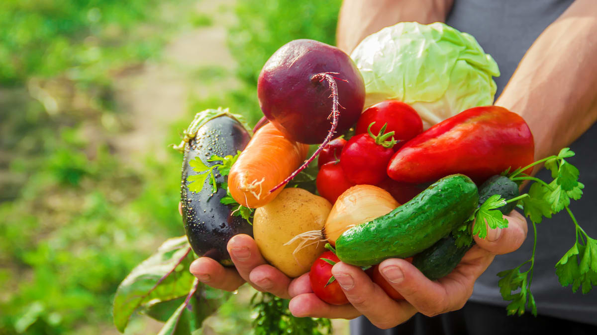Zelenina patří z agrotechnického hlediska k plodinám nejnáročnějším na obsah živin v půdě