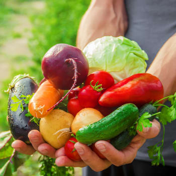 Zelenina patří z agrotechnického hlediska k plodinám nejnáročnějším na obsah živin v půdě