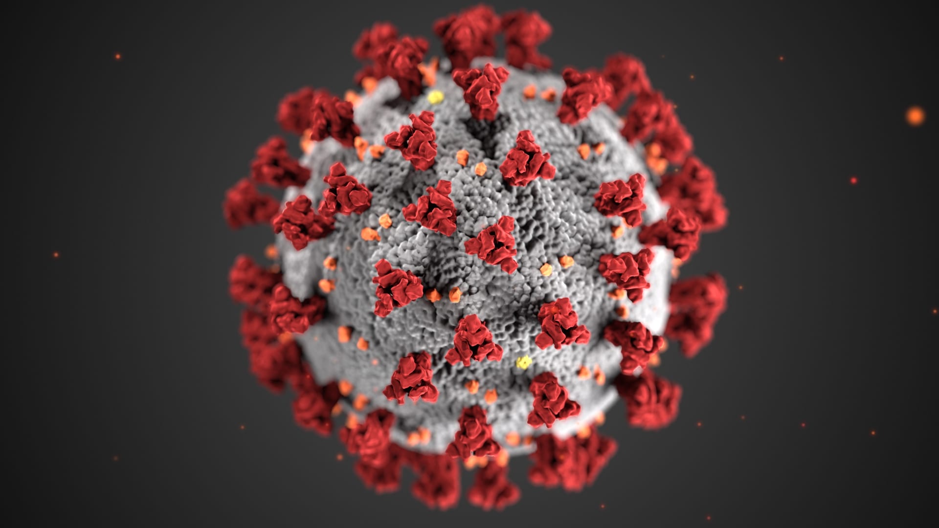 Američtí odborníci varují před novými mutacemi koronaviru. (Ilustrační foto)