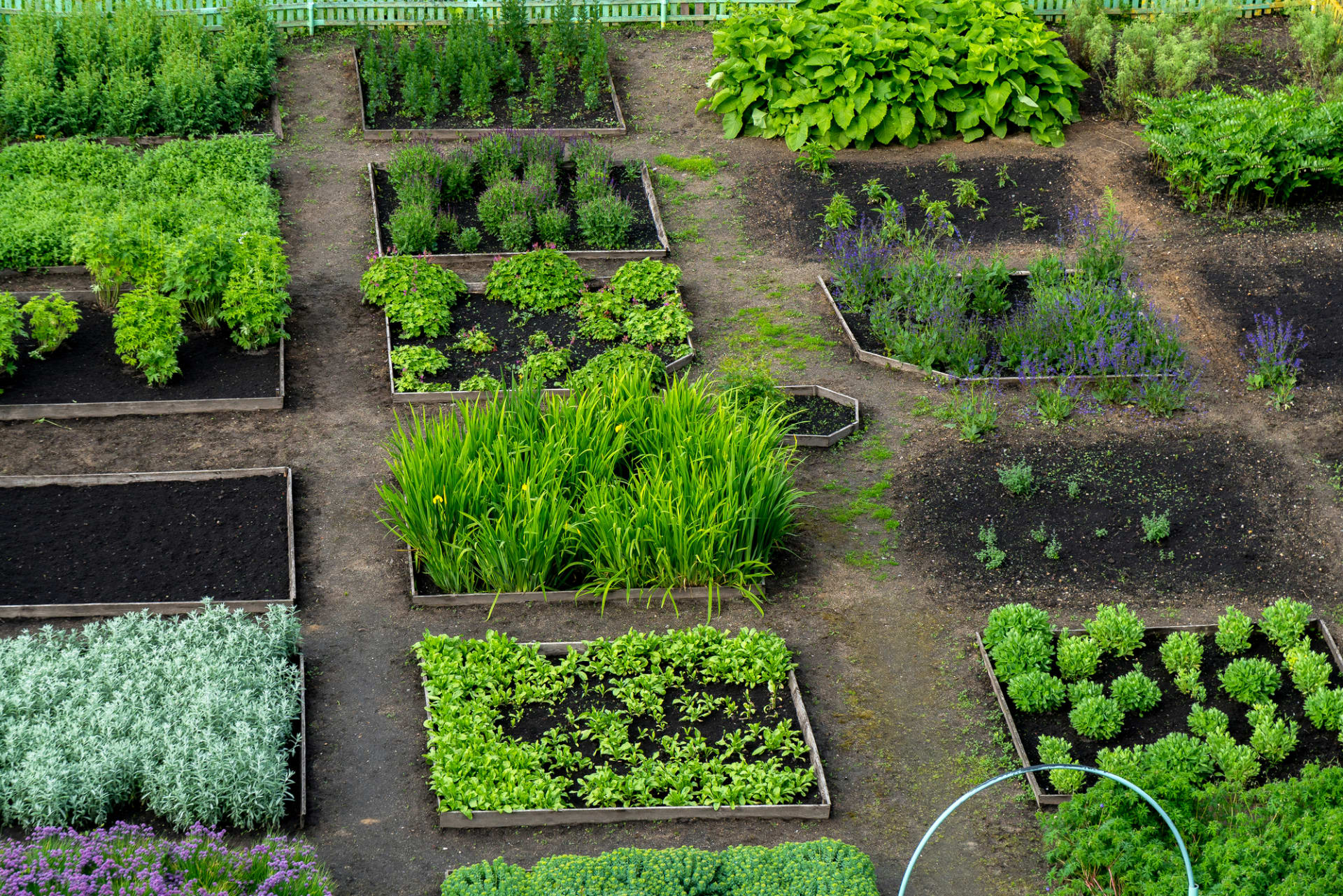Organické a přirozené zahradničení udržuje harmonii a rovnováhu