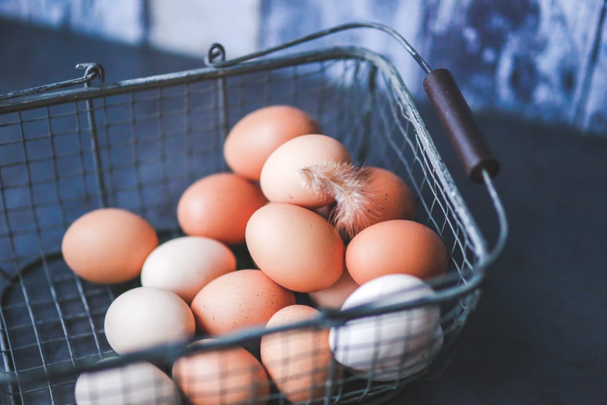 Zákaz klecových chovů podporuje i velká část obchodů, která stahuje vejce z klecových chovů ze svých pultů.