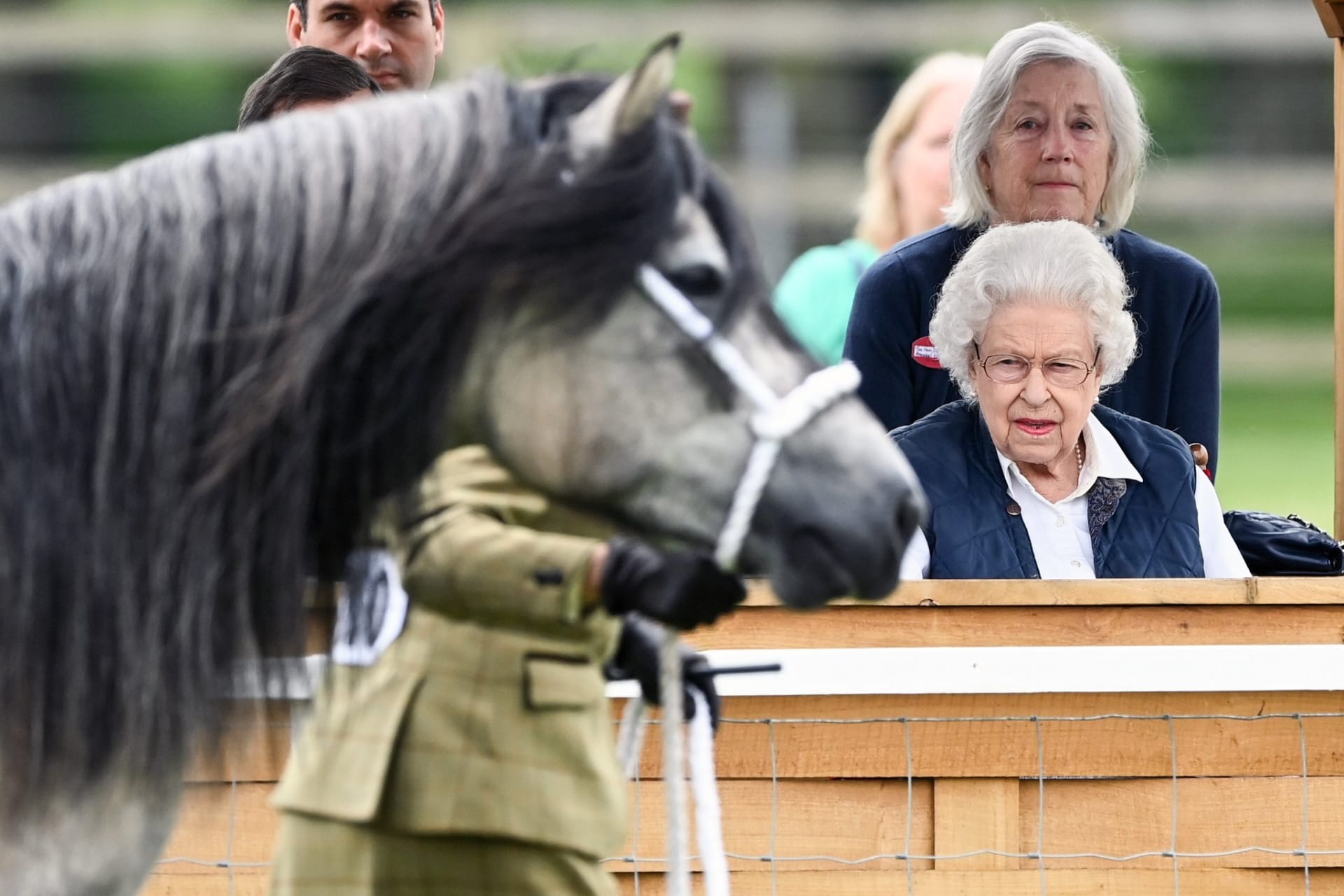 Královna Alžběta II. během druhého dne Royal Windsor Horse Show (zdroj: royalfocus1)