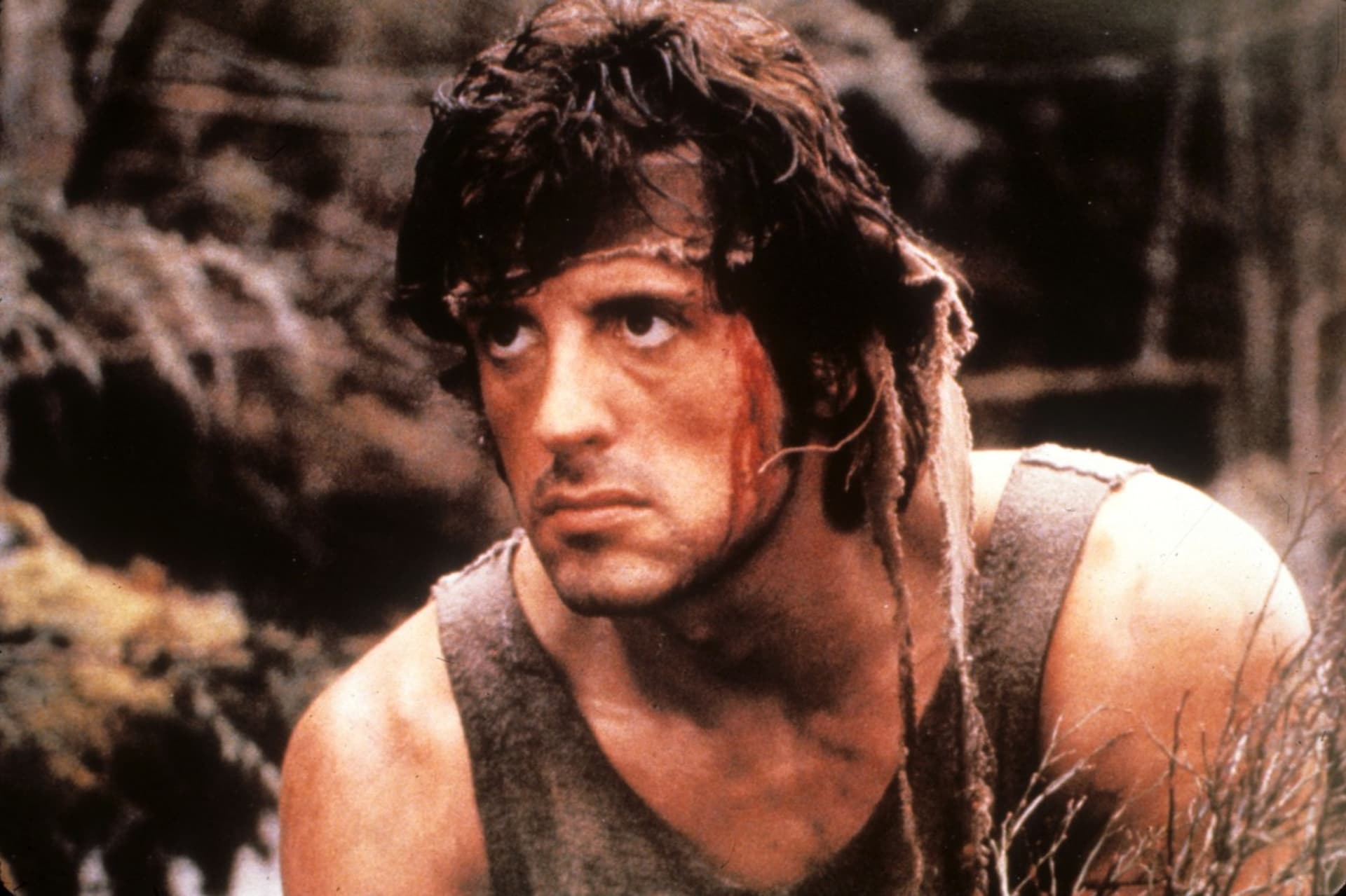 Stallone se proslavil mimo jiné jako Rambo.
