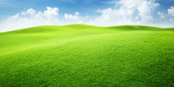 Víte, jaký je rozdíl mezi sekáním a mulčováním trávy? 
