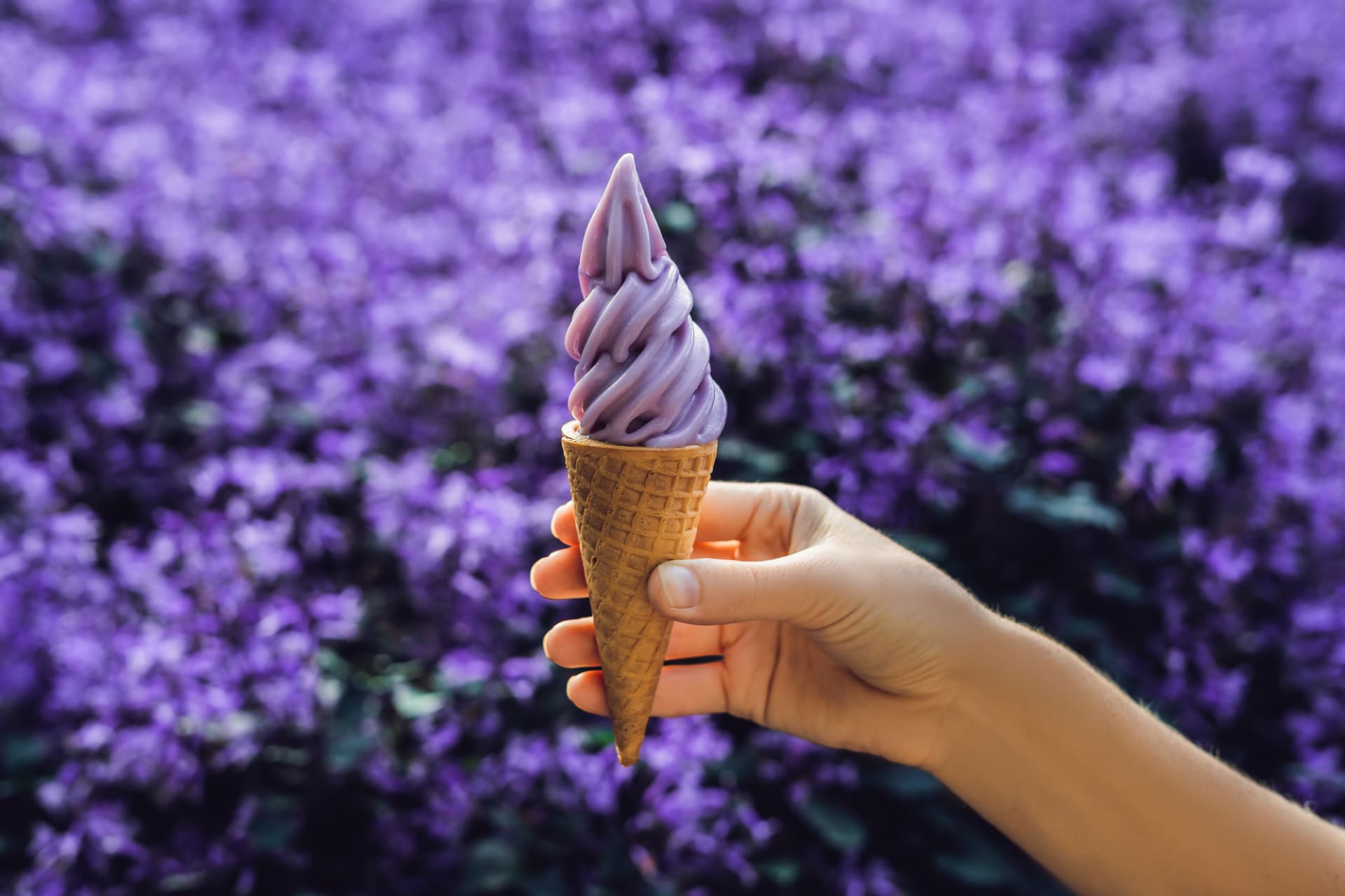 Znáte lahodnou levandulovou zmrzlinu?