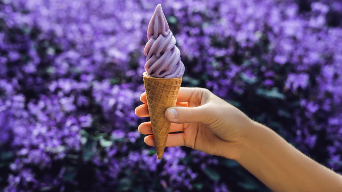 Znáte lahodnou levandulovou zmrzlinu?