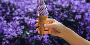 Domácí levandulová zmrzlina a další druhy